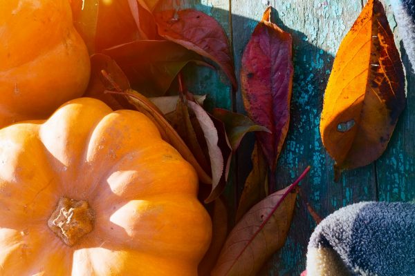 Thanksgiving options at Madison Beach Hotel 
