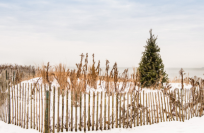 christmas tree in the dunes at madison beach hotel